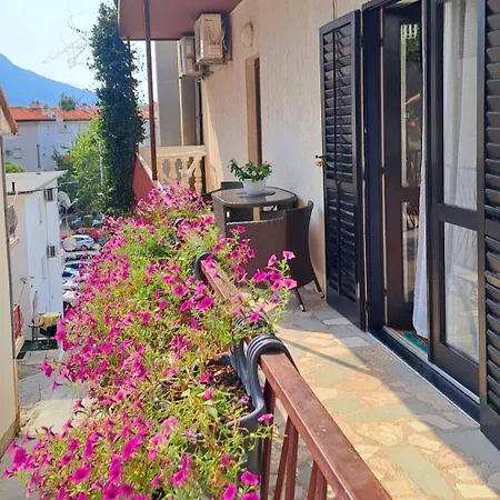 Apartment Anita Omis