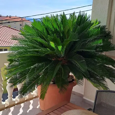 Anita Appartement